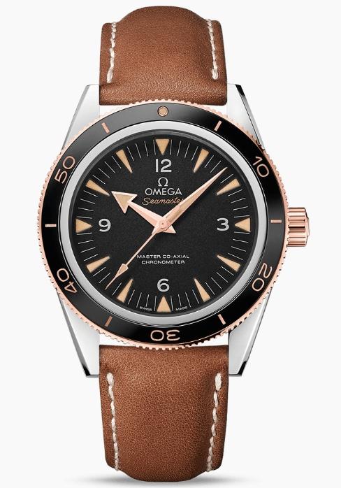 OMEGA SEAMASTER 300 Master Co-Axial 233.22.41.21.01.002