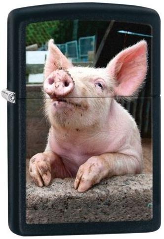 Zapalniczka Zippo Pig Dreaming 26009