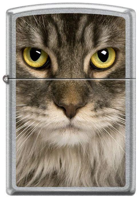 Zapalniczka Zippo Coon Cat 6116